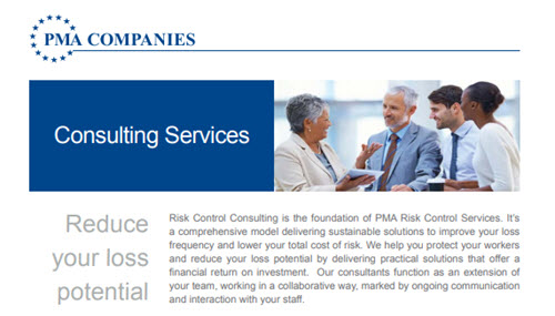 Consulting_Services_Insights-Info_post