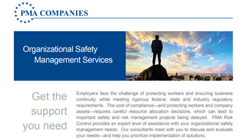 Organizational_Safety_Management_Insights-Info_post