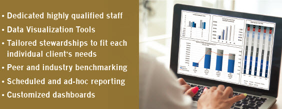 PMAMC_BZ_Analytics_Metrics_image
