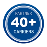 Why Partner_40-plus-1