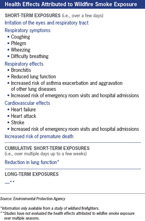 Protecting Your Employees from Wildfire Smoke