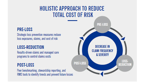 TPA_holistic_approach_infographic_holistic_circle